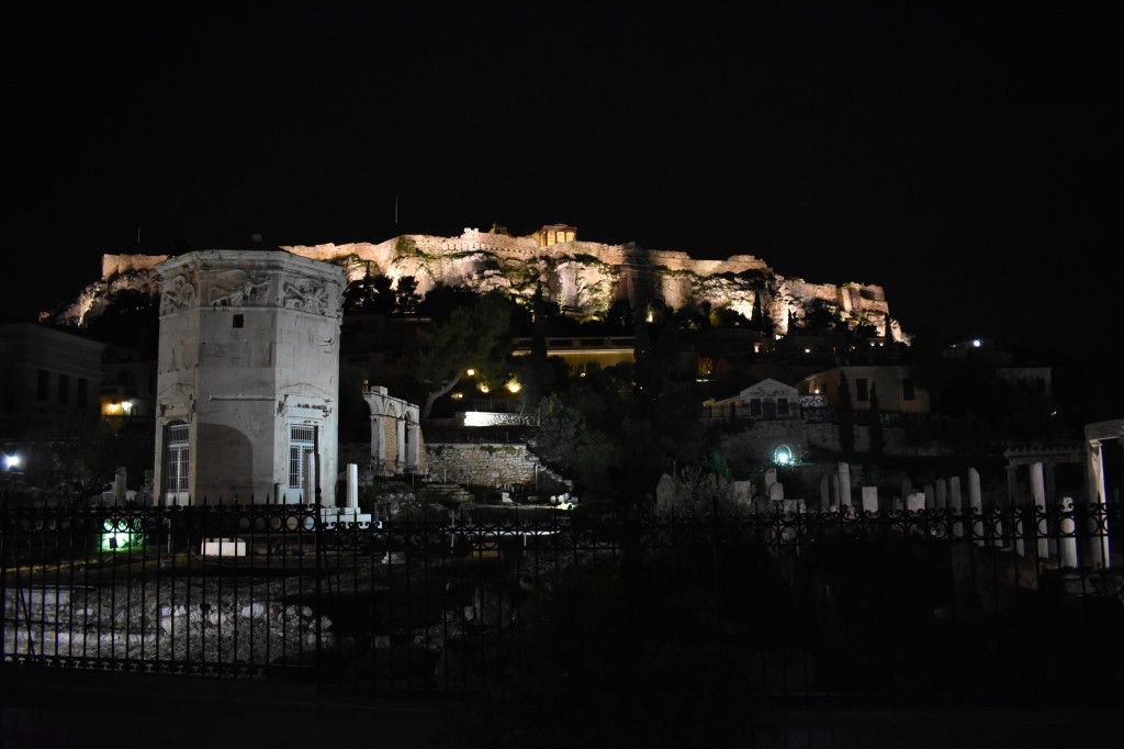 DSC_0141.jpg