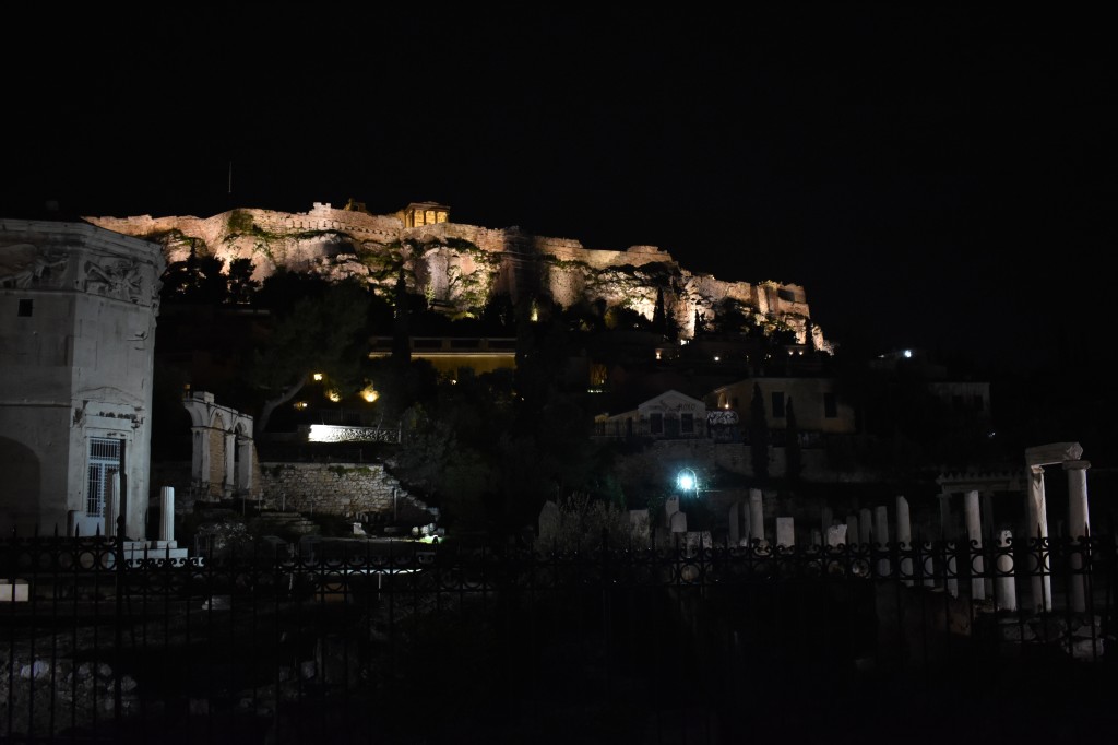 DSC_0142.jpg