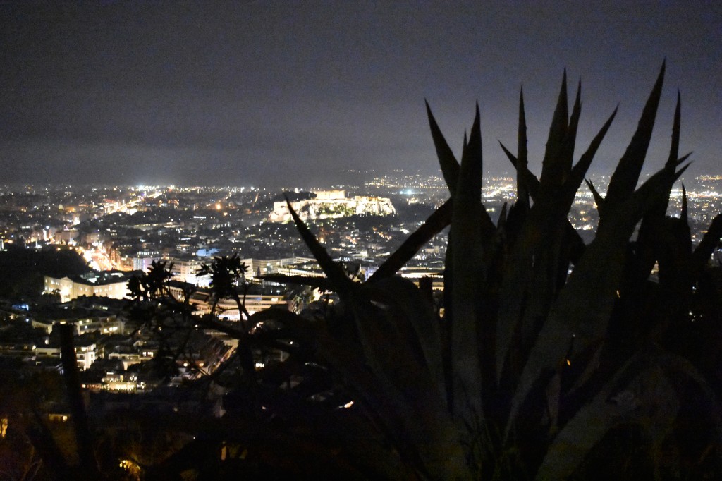 DSC_0185.jpg