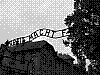auschwitz1.jpg