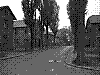 auschwitz13.jpg