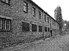 auschwitz14.jpg