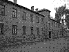 auschwitz17.jpg