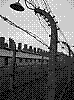 auschwitz3.jpg