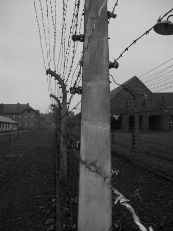 auschwitz10.jpg