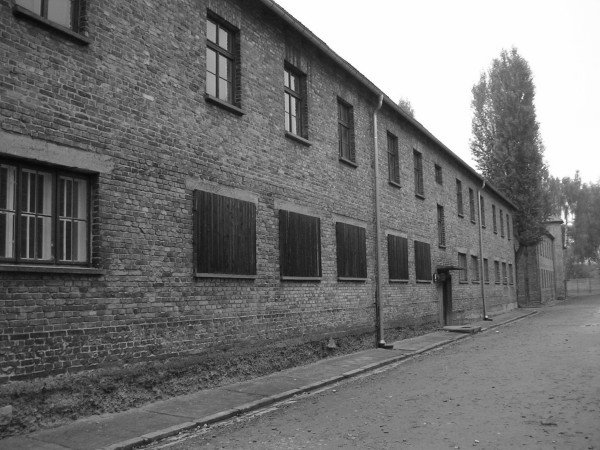 auschwitz14.jpg