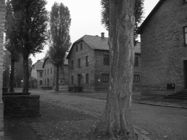 auschwitz16.jpg