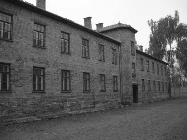 auschwitz17.jpg