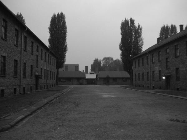 auschwitz19.jpg