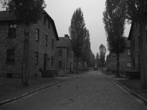 auschwitz20.jpg