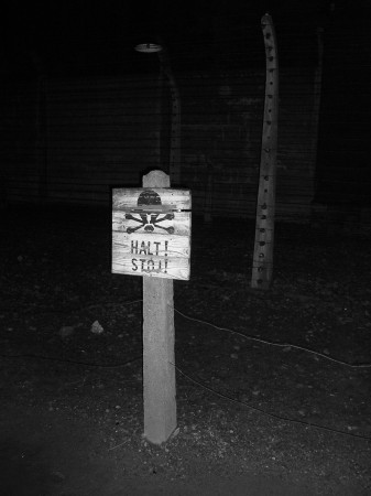 auschwitz26.jpg