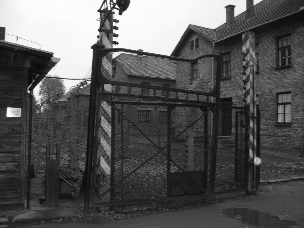 auschwitz4.jpg