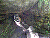 BS12.jpg