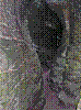 BS40.jpg