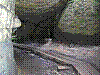 BS47.jpg