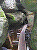 BS51.jpg