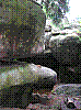 BS56.jpg