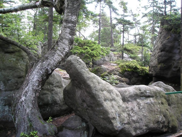 BS10.jpg