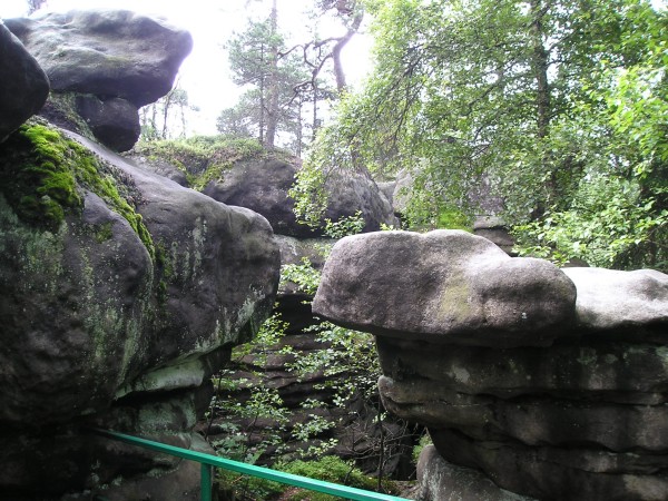 BS11.jpg