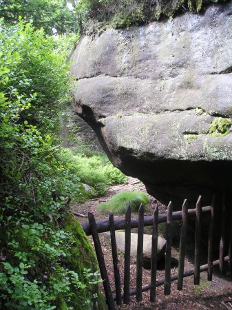 BS16.jpg