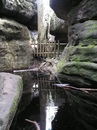 BS36.jpg
