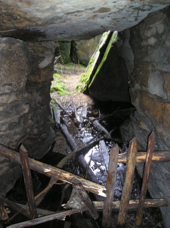 BS46.jpg