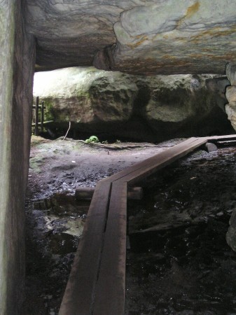 BS49.jpg