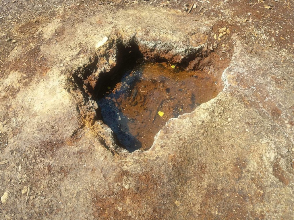 Babina (8).jpg