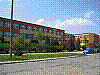 b87.jpg