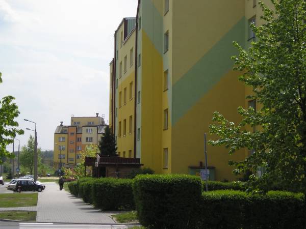 b101.jpg