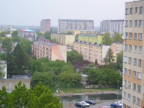 b113.jpg