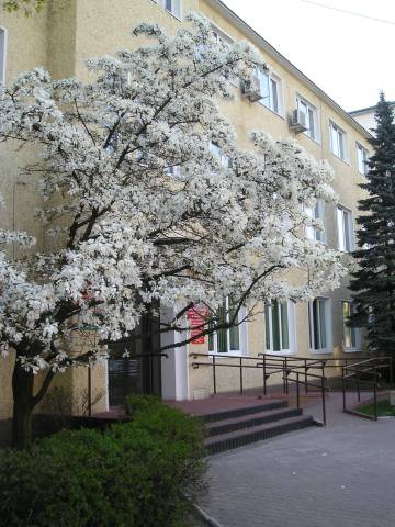 b14.jpg