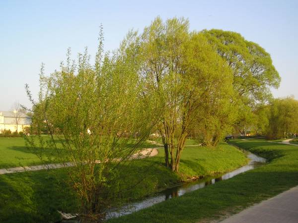 b32.jpg