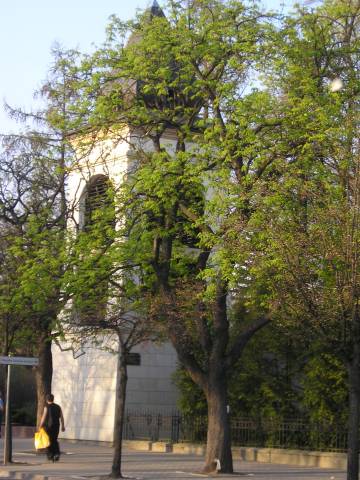 b39.jpg