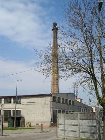 b81.jpg