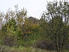 P1010199.jpg