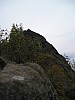 P1010205.jpg