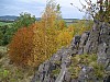 P1010206.jpg