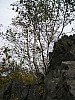 P1010207.jpg