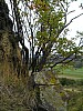 P1010213.jpg