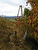 P1010223.jpg
