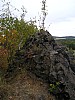 P1010224.jpg