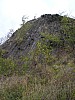 P1010226.jpg