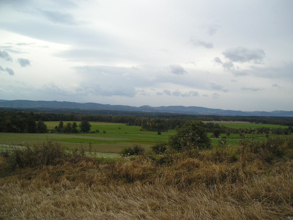 P1010201.jpg