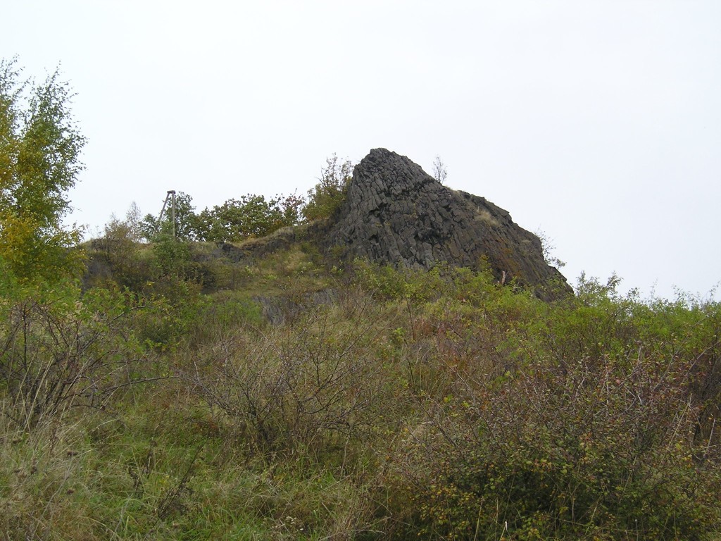 P1010203.jpg