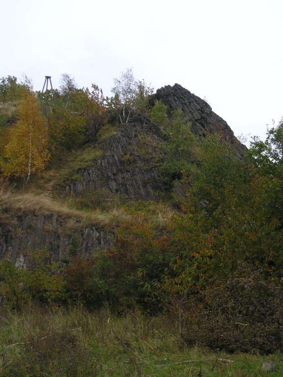 P1010204.jpg