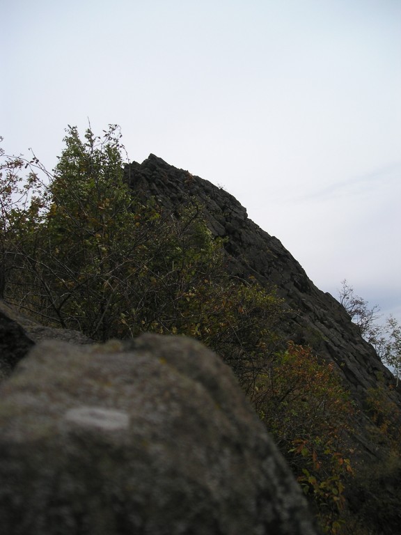 P1010205.jpg