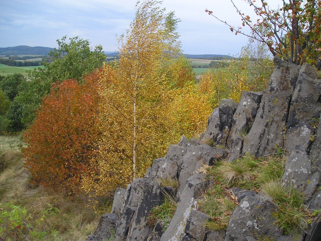 P1010206.jpg