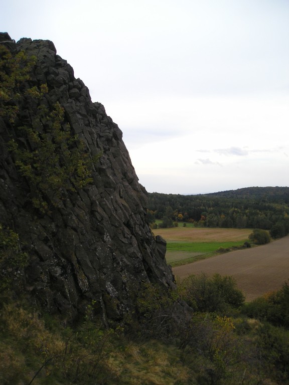 P1010211.jpg