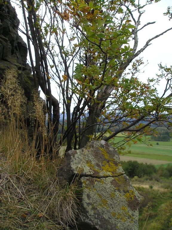 P1010213.jpg